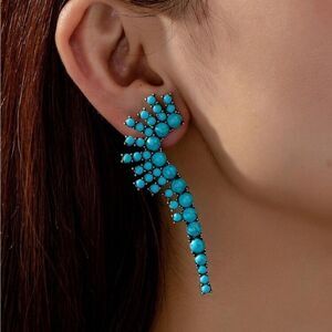Bohemian earrings N540